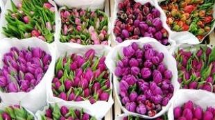 Цветочный бизнес с нуля: отзывы владельцев